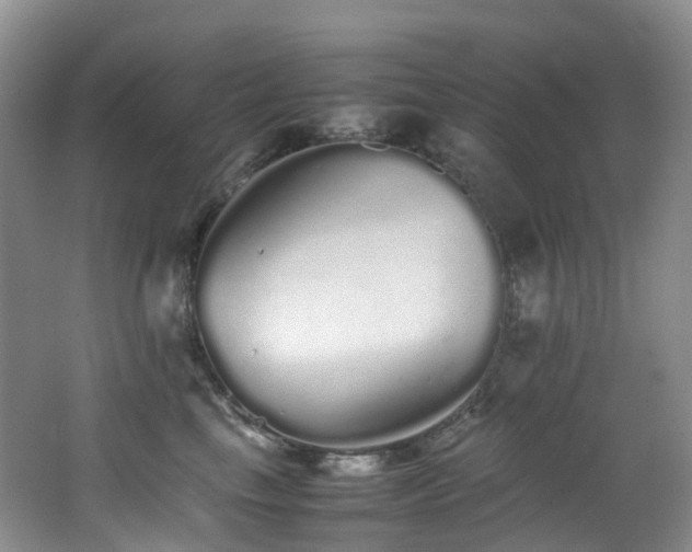 X0000062800665200512221406