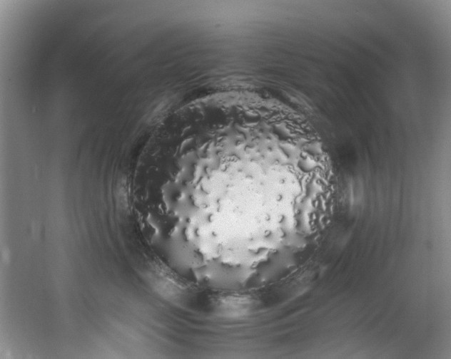 X0000062800669200512221406