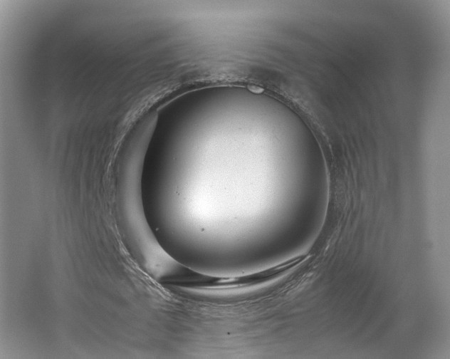 X0000062800673200512221405