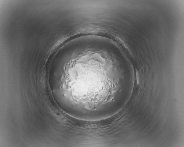 X0000062800675200512221405