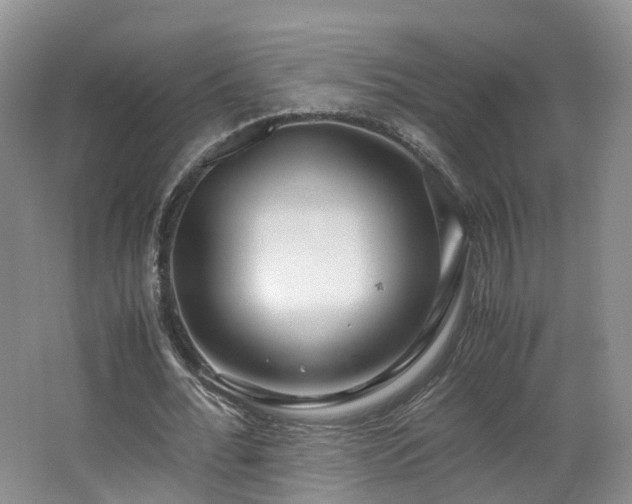 X0000062800676200512221405