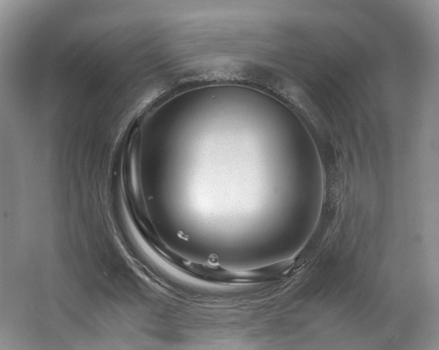 X0000062800677200512221405