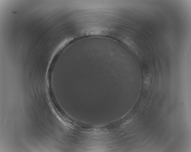 X0000062800678200512221405