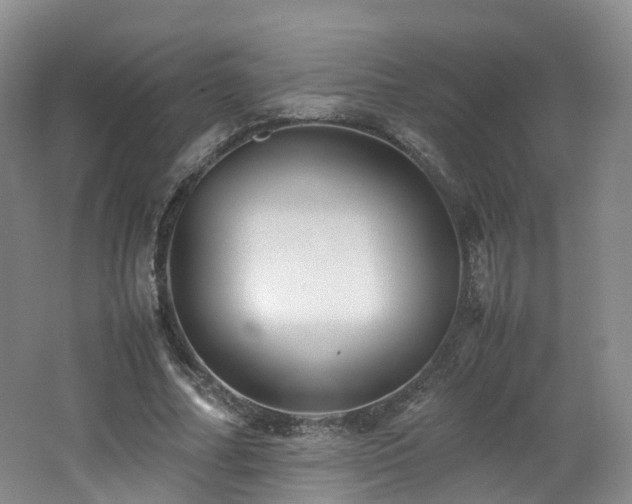 X0000062800682200512221405