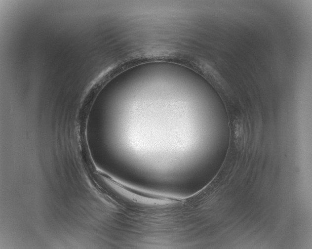 X0000062800684200512221405