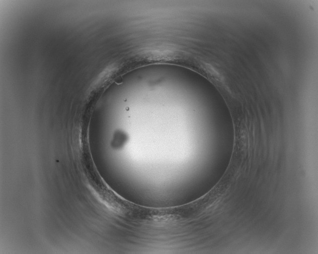 X0000062800686200512221405