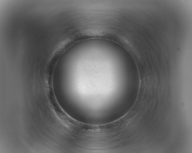 X0000062800688200512221405