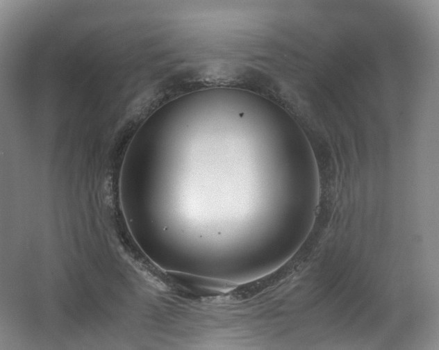 X0000062800689200512221405