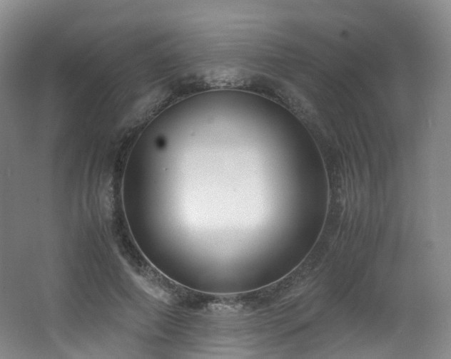 X0000062800690200512221405