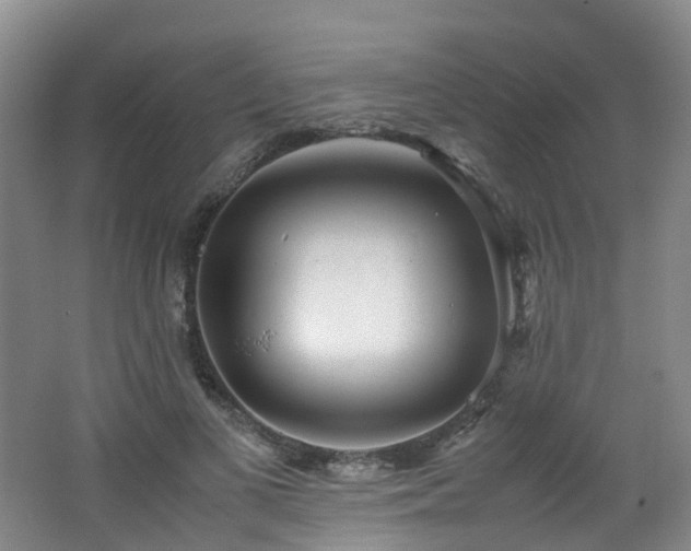 X0000062800693200512221405