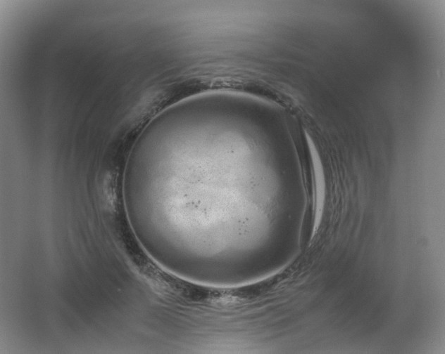 X0000062800695200512221404