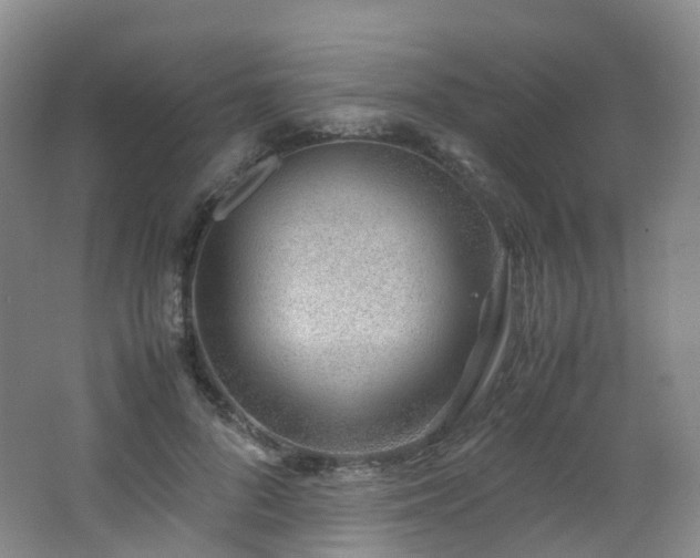 X0000062800696200512221404