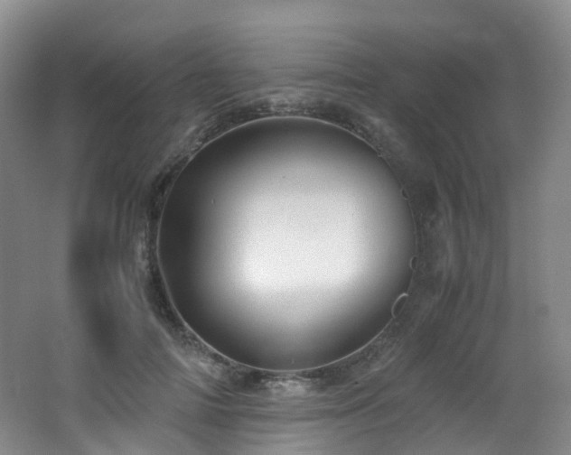 X0000062800698200512221404