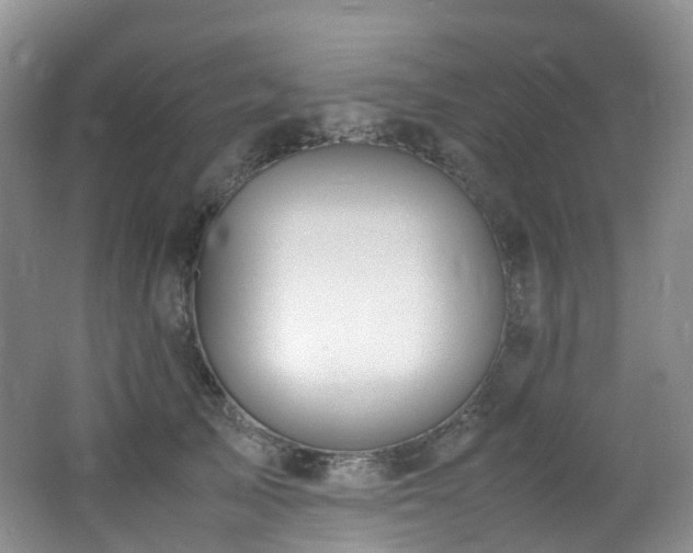 X0000062800705200512221404
