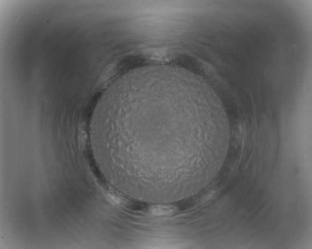 X0000062800707200512221404