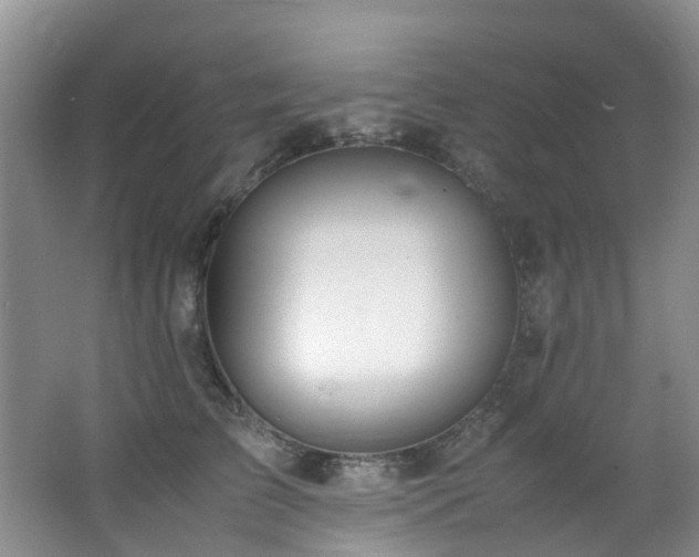 X0000062800709200512221404