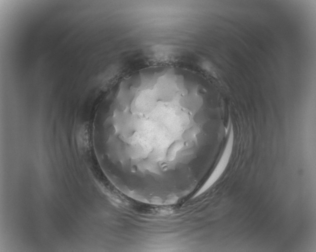 X0000062800715200512221404