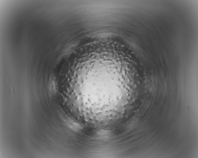 X0000062800718200512221404