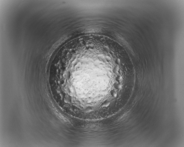 X0000062800721200512221403