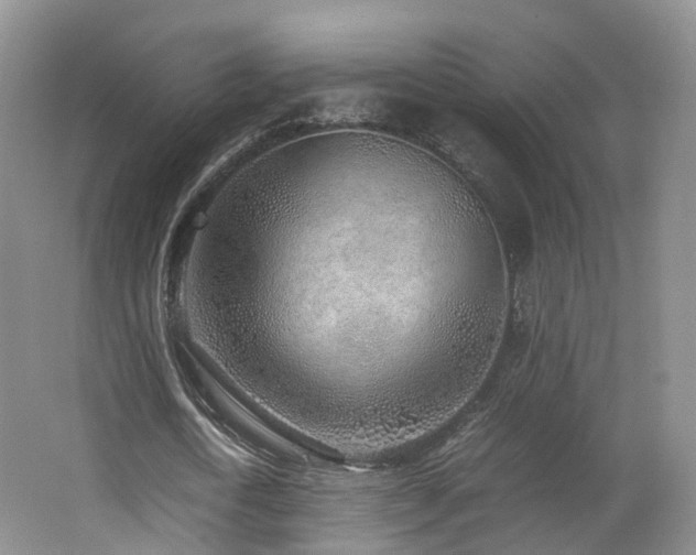 X0000062800722200512221403