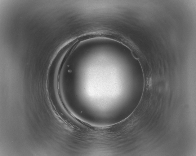 X0000062800724200512221403