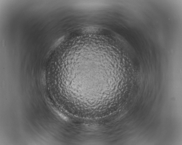 X0000062800729200512221403