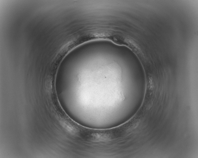 X0000062800733200512221403