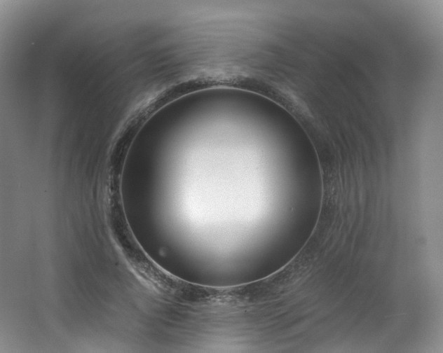 X0000062800736200512221403