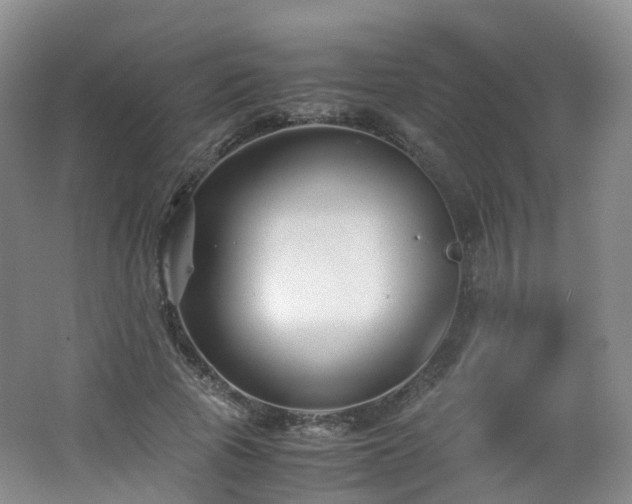 X0000062800737200512221403