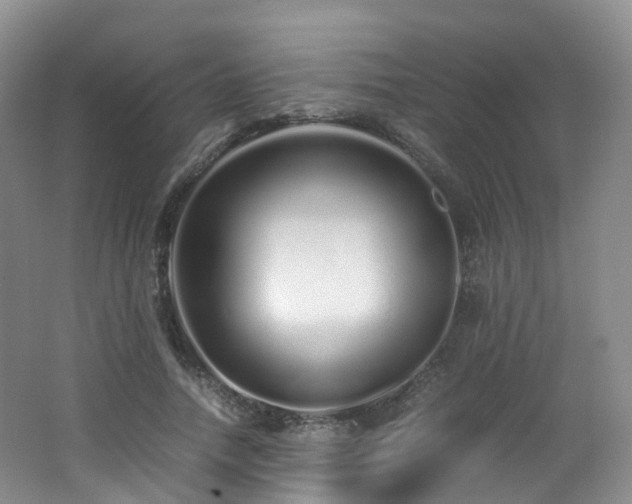 X0000062800738200512221404