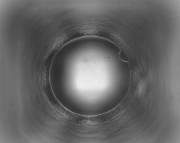 X0000062800739200512221404