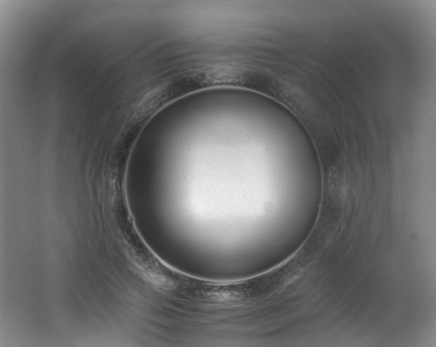 X0000062800741200512221404