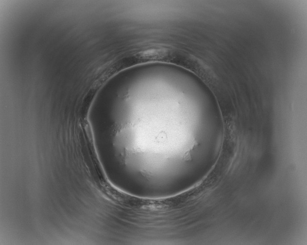 X0000062800745200512221404