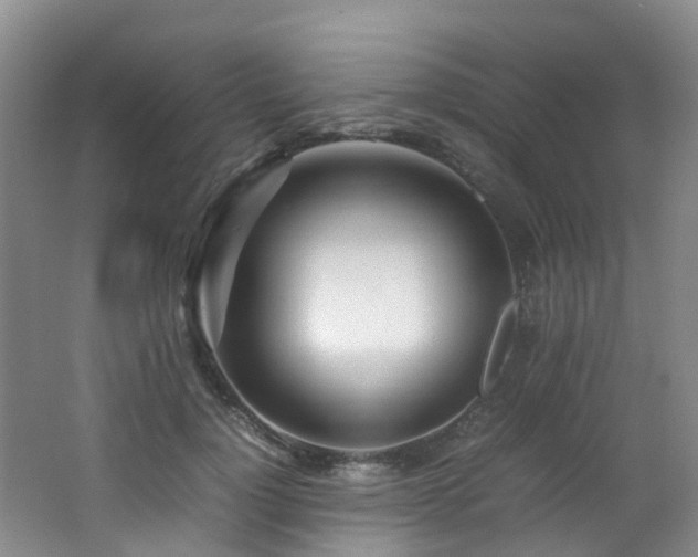 X0000062800748200512221404