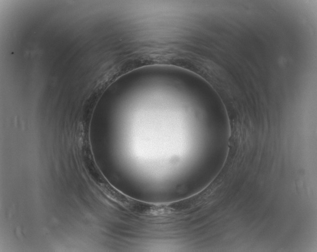 X0000062800752200512221404
