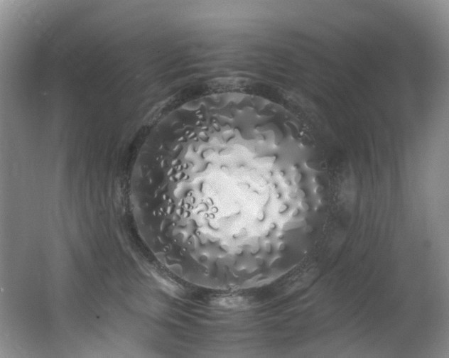 X0000062800759200512221404