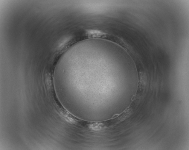 X0000062800761200512221404