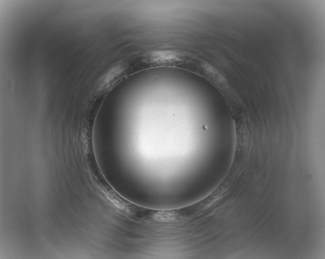 X0000062800762200512221404