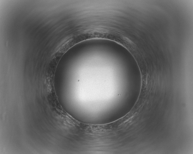X0000062800774200512221403