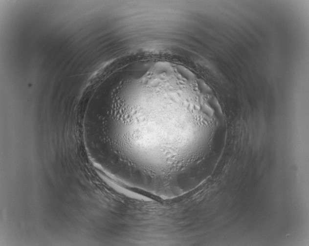 X0000062800776200512221403
