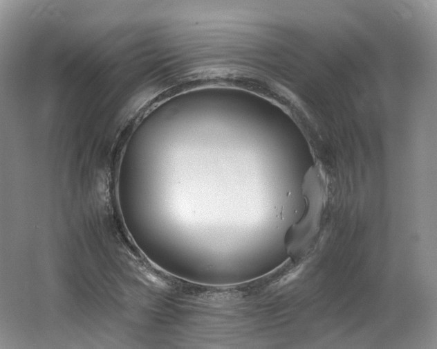 X0000062800778200512221403