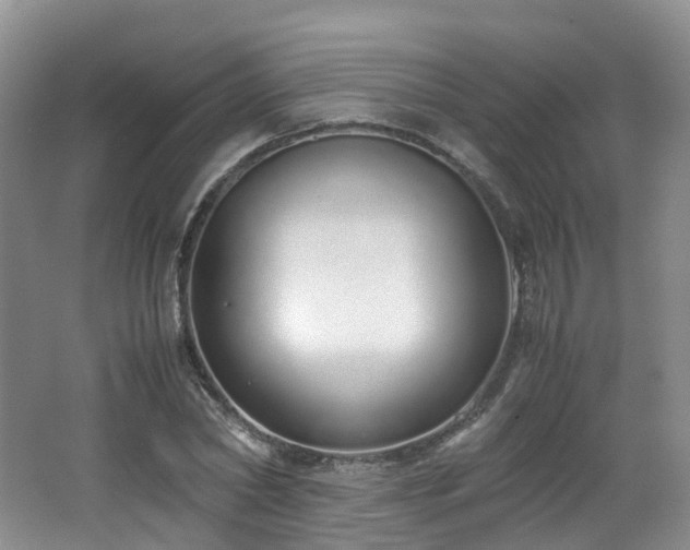 X0000062800782200512221403