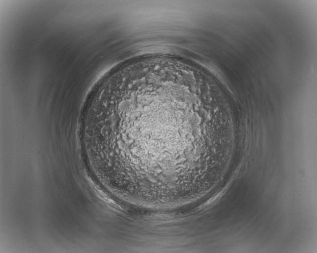 X0000062800783200512221403