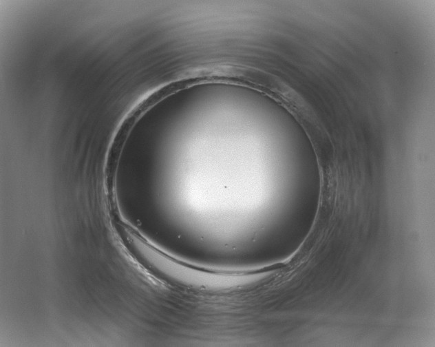 X0000062800784200512221403