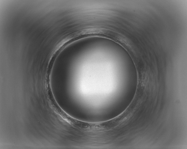 X0000062800786200512221403