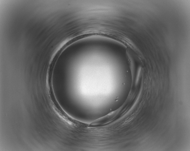 X0000062800788200512221403