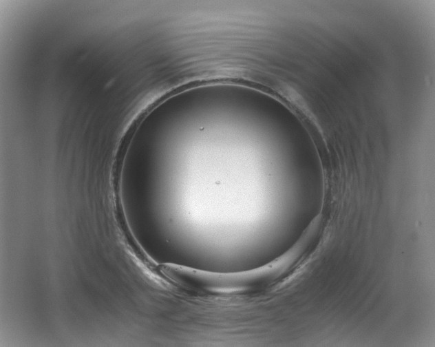 X0000062800789200512221403
