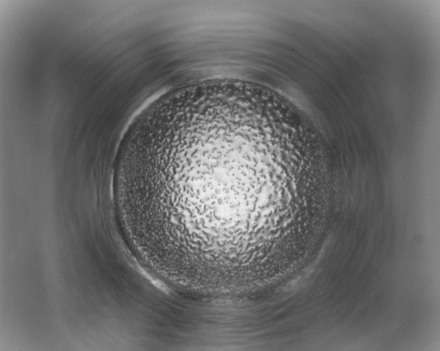 X0000062800790200512221403