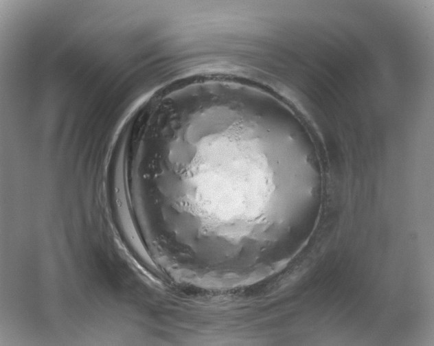 X0000062800791200512221403