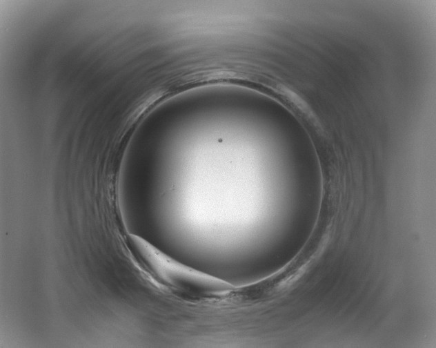 X0000062800793200512221403